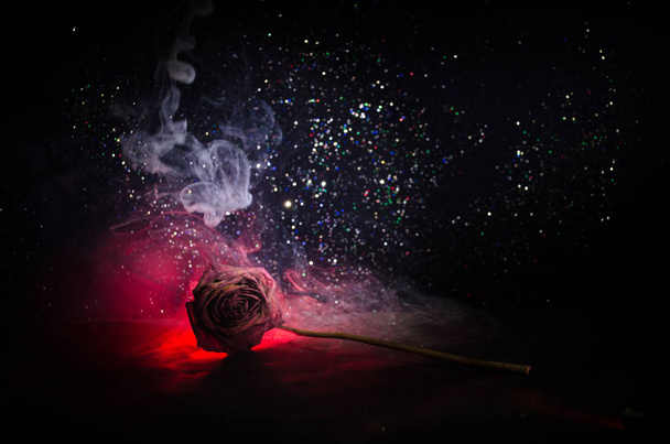Увядающая роза означает потерянную любовь, развод или плохие отношения, мертвая роза на темном фоне
 - Фото, изображение