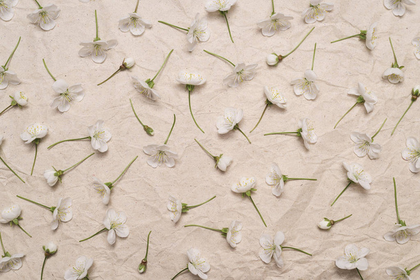 Dekorativní vzor bílé Třešňové květy - Fotografie, Obrázek