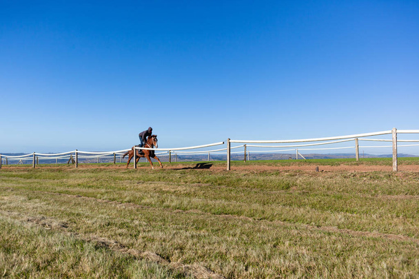 Race Horse Rider uitgevoerd opleiding Track  - Foto, afbeelding