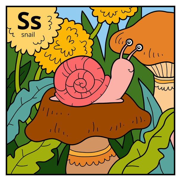 Color alphabet for children, letter S (snail) - Vector, Image