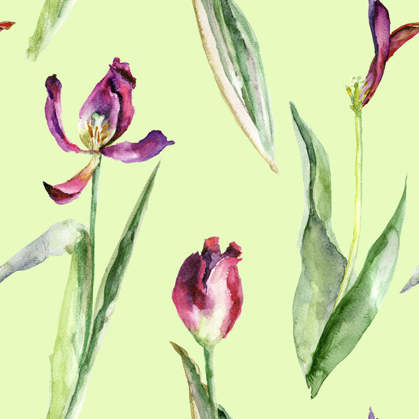 Seamless pattern with Tulip with fallen petals - Foto, imagen