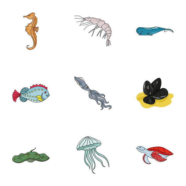 Marine en rivier inwoners. Vissen, walvissen, octopussen. Zee dieren pictogram in set collectie op cartoon stijl vector symbool stock illustratie. - Vector, afbeelding