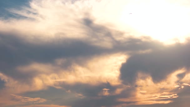 Sunrise sky and birds. - Footage, Video