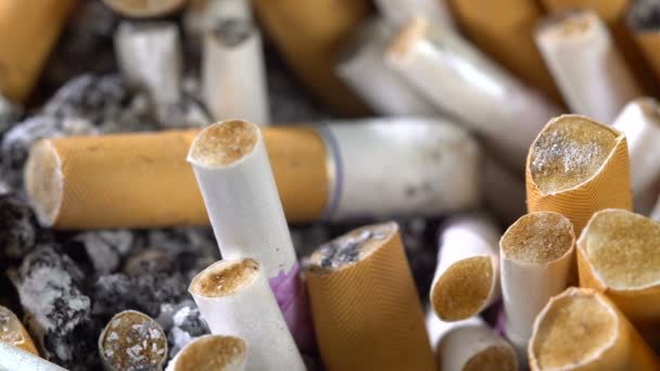 Cigaretta csonkokat a hamutartó - Felvétel, videó