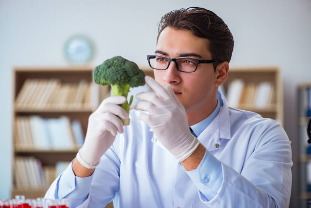 Científico trabajando en frutas y verduras orgánicas - Foto, Imagen