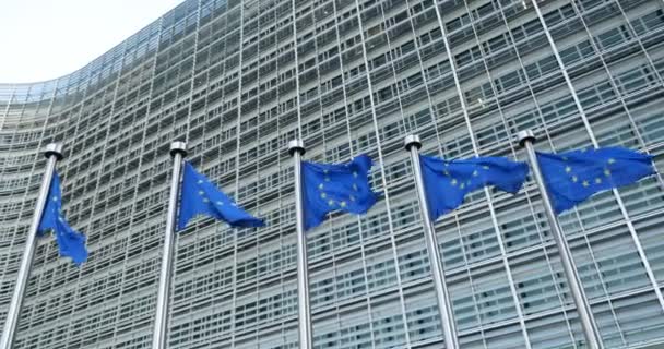 zbliżenie: flagi Europy przed budynkiem Parlamentu Europejskiego - Materiał filmowy, wideo