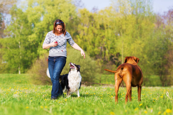 vrouw speelt met twee honden op de weide - Foto, afbeelding