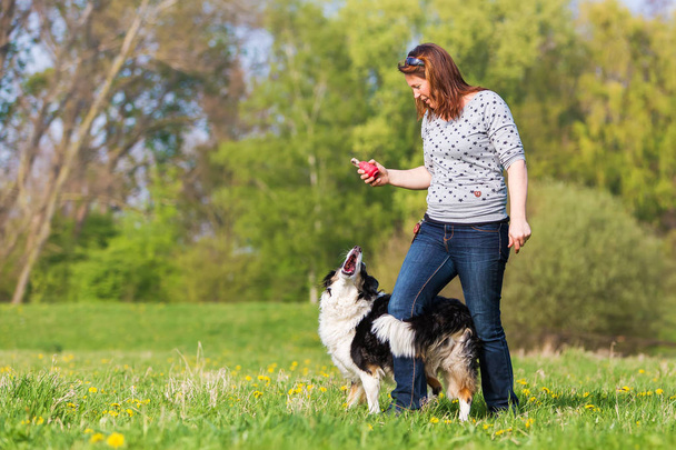 woman making dog dancing with a Border Collie - Fotoğraf, Görsel