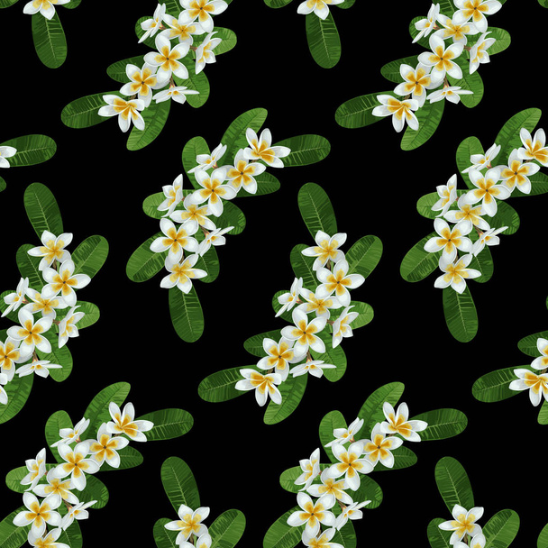 Plumeria Seamless Pattern - Vetor, Imagem