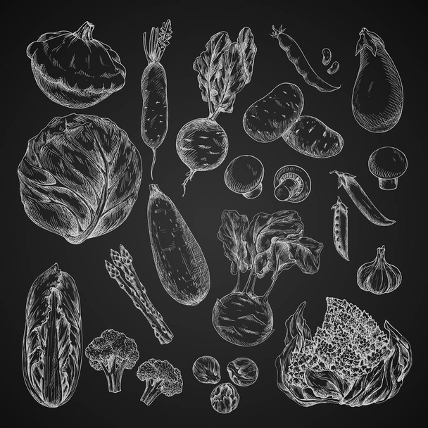 Croquis de légumes, haricots et champignons sur tableau noir
 - Vecteur, image