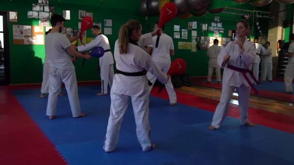 Vídeo en cámara lenta de una sesión de entrenamiento de taekwondo para adultos en el gimnasio, patadas, enfoque selectivo
 - Metraje, vídeo