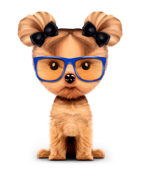 Adorable doggy with sunglasses, isolated on white. - Photo, Image