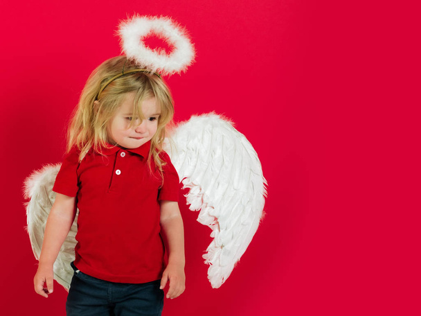 child or little angel boy with feather wings, halo - Photo, image