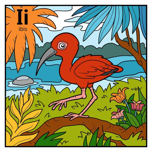 Farbalphabet für Kinder, Buchstabe i (ibis)) - Vektor, Bild