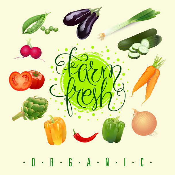 Granja verduras frescas conjunto
 - Vector, Imagen