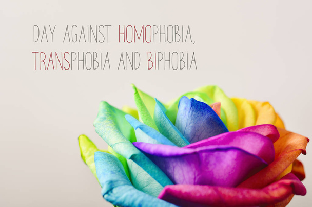 den boje proti homofobii, transfobie a biphobia - Fotografie, Obrázek