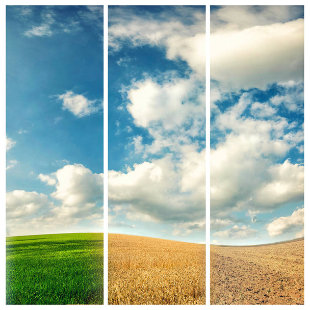 four seasons of year - Foto, afbeelding