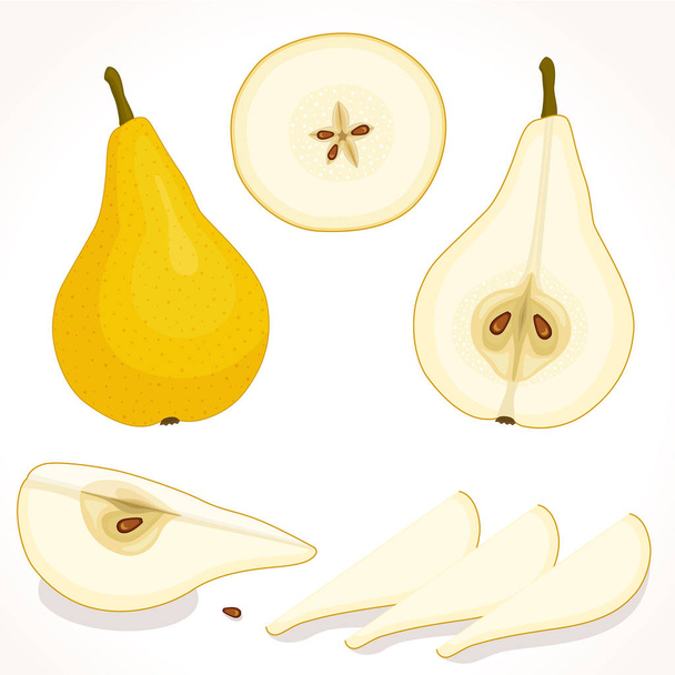 Vector pear. Sliced, whole, half apple. - Vektor, obrázek