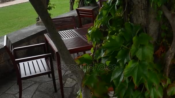 Restauracja w hotelu Villa Milocer, pod drzewami wisteria, t - Materiał filmowy, wideo