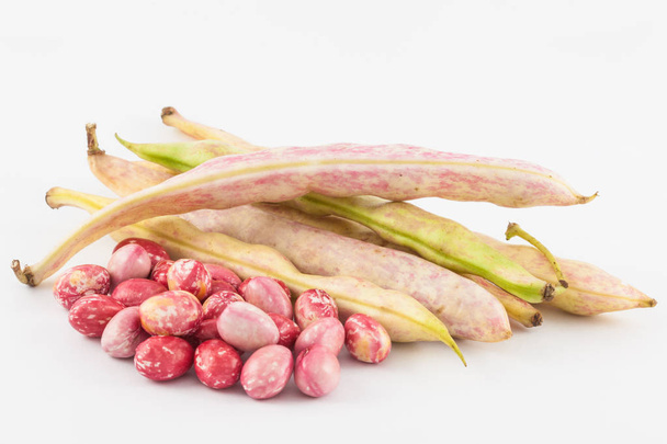 Nezralá společné fazole obecné (Phaseolus vulgaris) - Fotografie, Obrázek