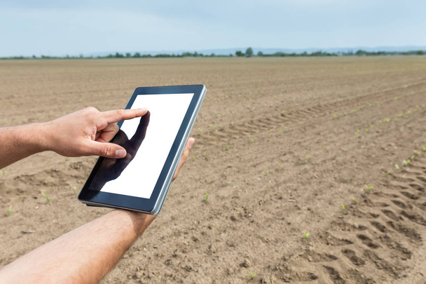 Фермер использует планшетный компьютер в сельскохозяйственных культивируемых полях. W
 - Фото, изображение