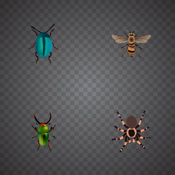 Realistische Tarantula, Insect, Bug en andere vectorelementen. Set van dierlijke realistische symbolen bevat ook Arachnid, groene, blauwe objecten. - Vector, afbeelding