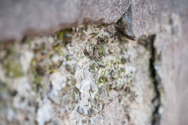 The moss begins to grow on the stones and the concrete wall. - Foto, afbeelding