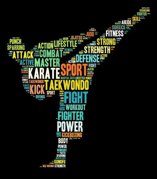 Gráficos de karate sobre fondo negro
 - Foto, Imagen