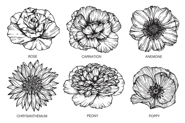 Sammlung von Blumenzeichnungen und Skizzen mit Linienzeichnungen  - Vektor, Bild