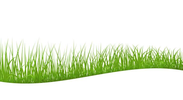 abstraktes grünes Gras - Vektor, Bild