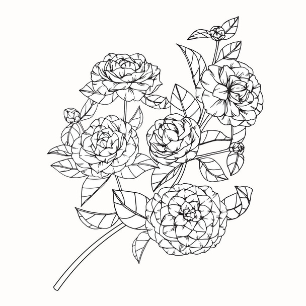 Camellia virág rajz és vázlat vonalas - Vektor, kép