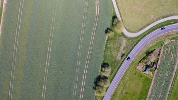 Δρόμος μέσα από χωράφια με το σιτάρι - Πλάνα, βίντεο