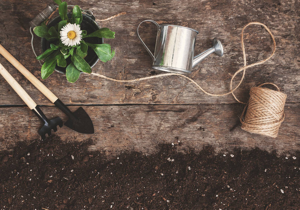 Garden tool, shovel, rake, watering can, bucket, tablets for pla - Fotografie, Obrázek