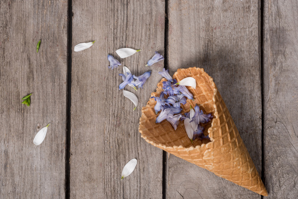 Wafer cone with petals  - Fotografie, Obrázek