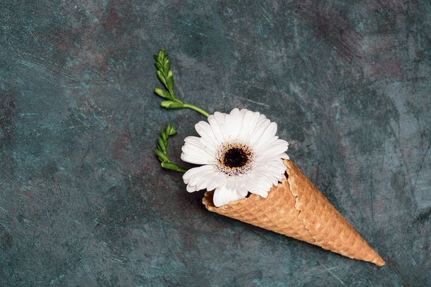 Flor de crisantemo en cono de gofre
  - Foto, imagen