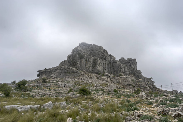 der naturpark sierra de grazalema in der provinz cadiz, spitze tunio - Foto, Bild