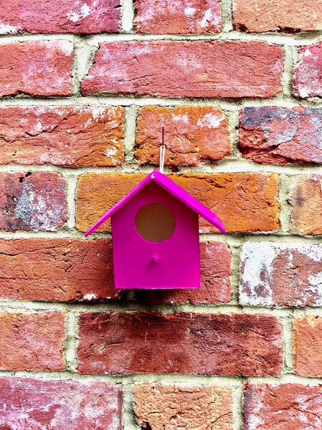 Pink bird house - Photo, Image