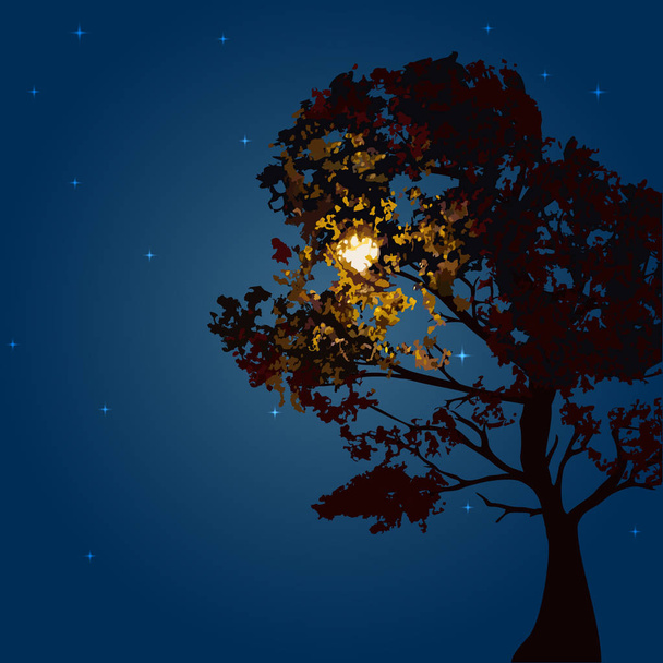 Autumn tree on a background lunar night and the starry sky. - Vector, Image