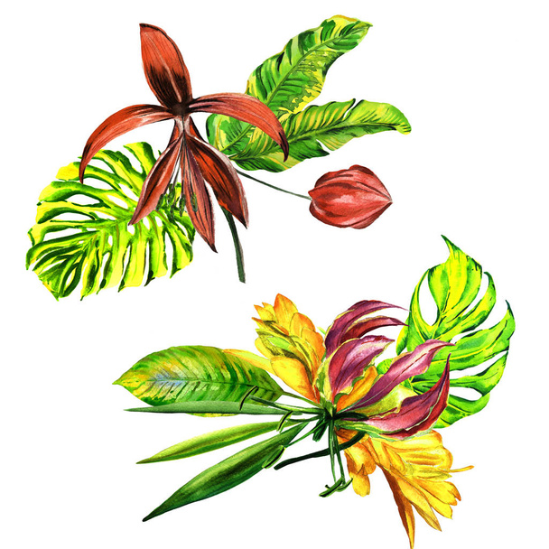 Tropical Hawaii leaves palm tree in a watercolor style isolated. - Valokuva, kuva