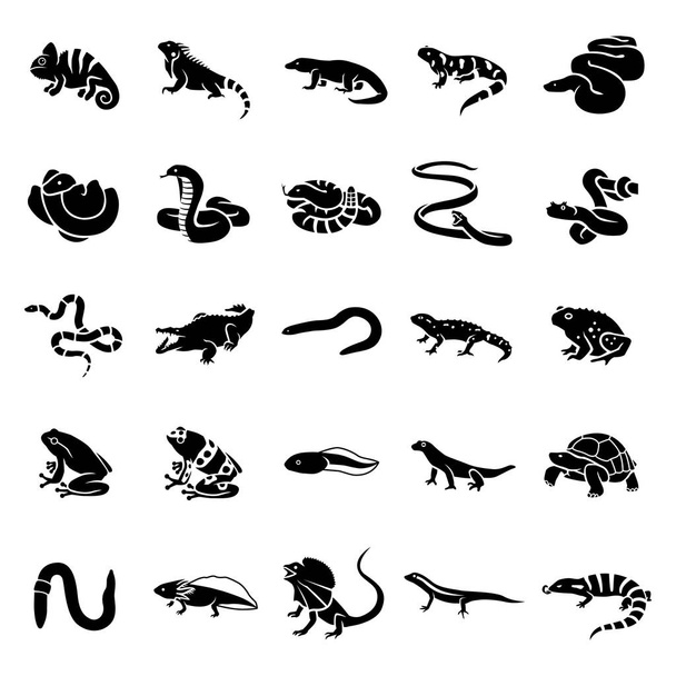 Reptilien & Amphibien Glyphen-Vektorsymbole - Vektor, Bild