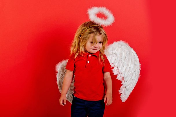 child or little angel boy with feather wings, halo - 写真・画像