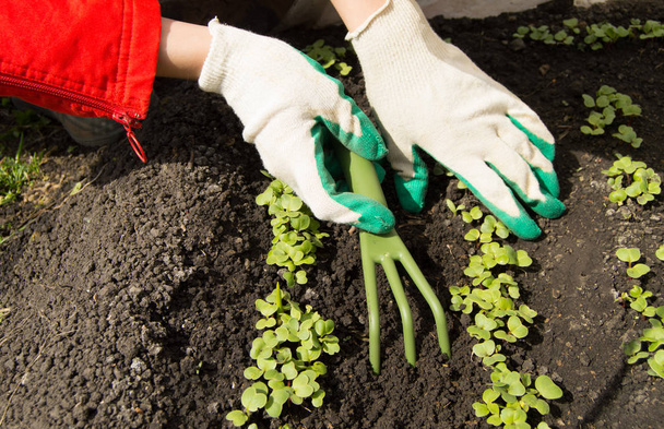 Femme portant des gants de jardinage tenant un râteau et une pelle, s'occupant des plantes dans le jardin
 - Photo, image