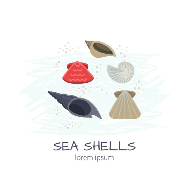 Sea Shells Vector Illustration.  - Vector, Image