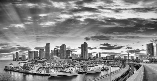 Černobílý pohled na Downtown Miami. Panoramatický záběr z portu - Fotografie, Obrázek
