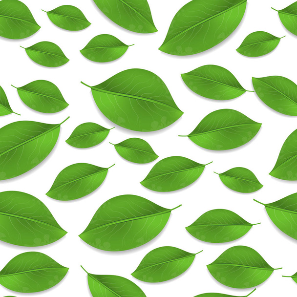 Green realistic leaves seamless pattern. Vector - Vector, Image