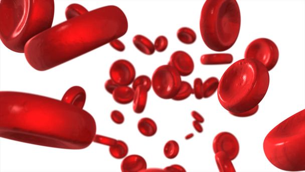 Rote Blutkörperchen auf weißem Hintergrund isoliert - Foto, Bild