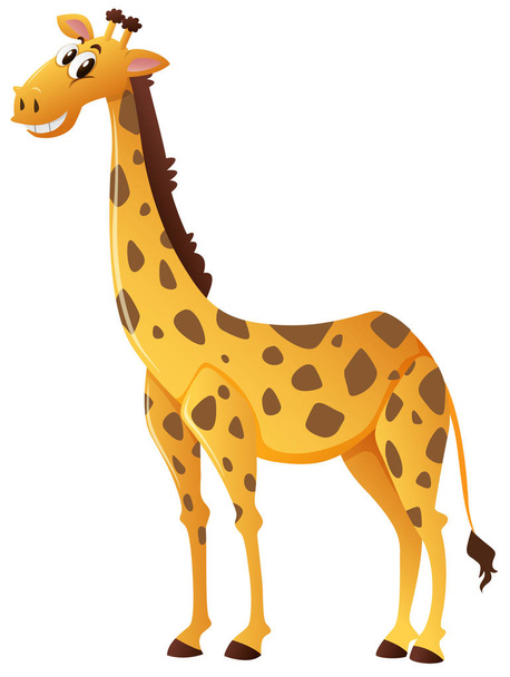 Girafa feliz no fundo branco
 - Vetor, Imagem