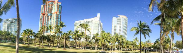Vista panoramica di Miami Beach dal South Pointe Park
 - Foto, immagini