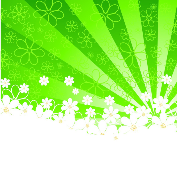 Floral background with daisies - Foto, imagen