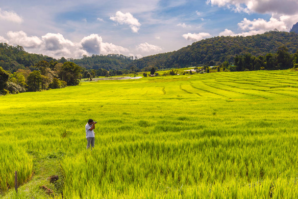 Genç adam fotoğrafçı almak fotoğraf yeşil teraslı pirinç alanında Mae Klang Luang, Mae Chaem, Chiang Mai, Tayland - Fotoğraf, Görsel